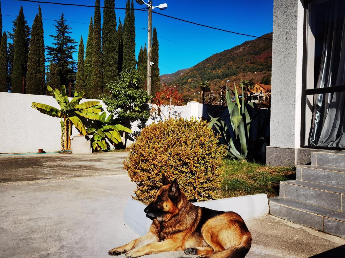Gega Hotel Gagra Exteriér fotografie