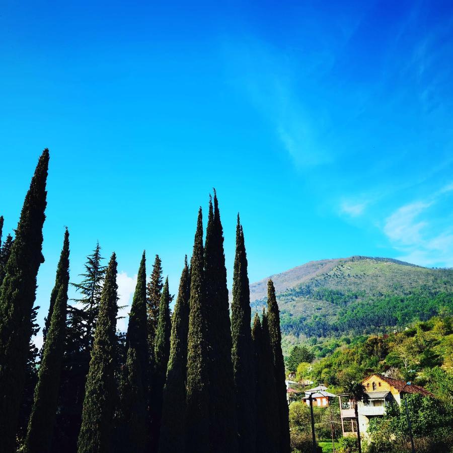 Gega Hotel Gagra Exteriér fotografie