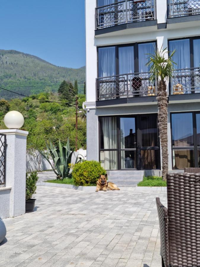 Gega Hotel Gagra Exteriér fotografie